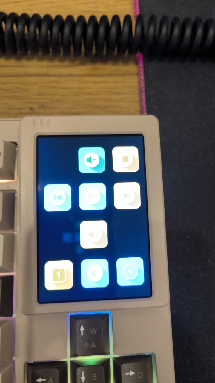 Womier 4.jpeg